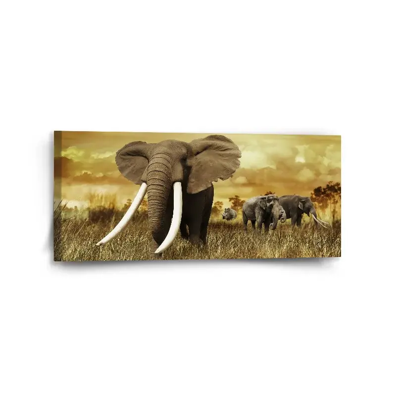 Obraz Slon Africký - 110x50 cm