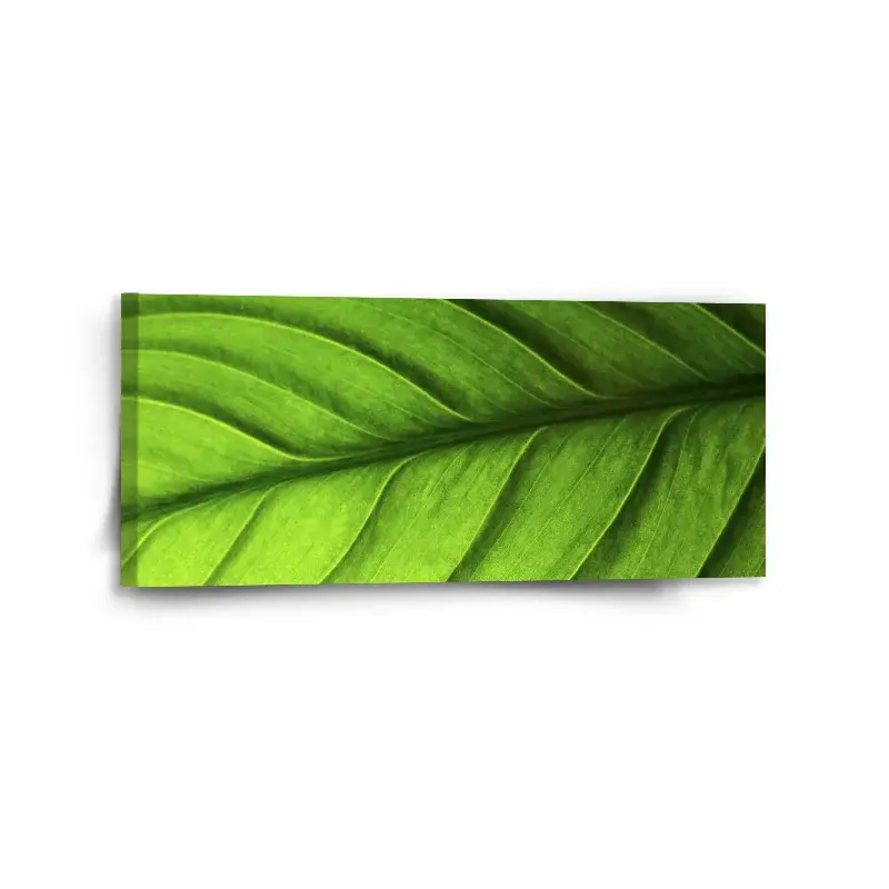 Obraz List - 110x50 cm
