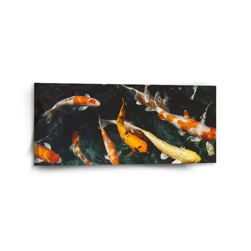 Obraz Ryby - 110x50 cm