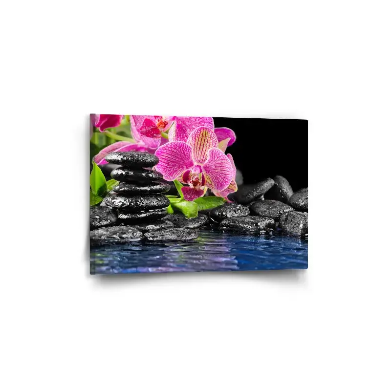 Obraz Orchidej na kamenech - 60x40 cm