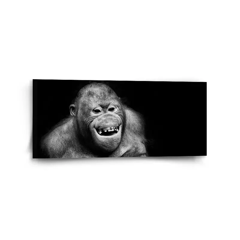 Obraz Orangutan - 110x50 cm
