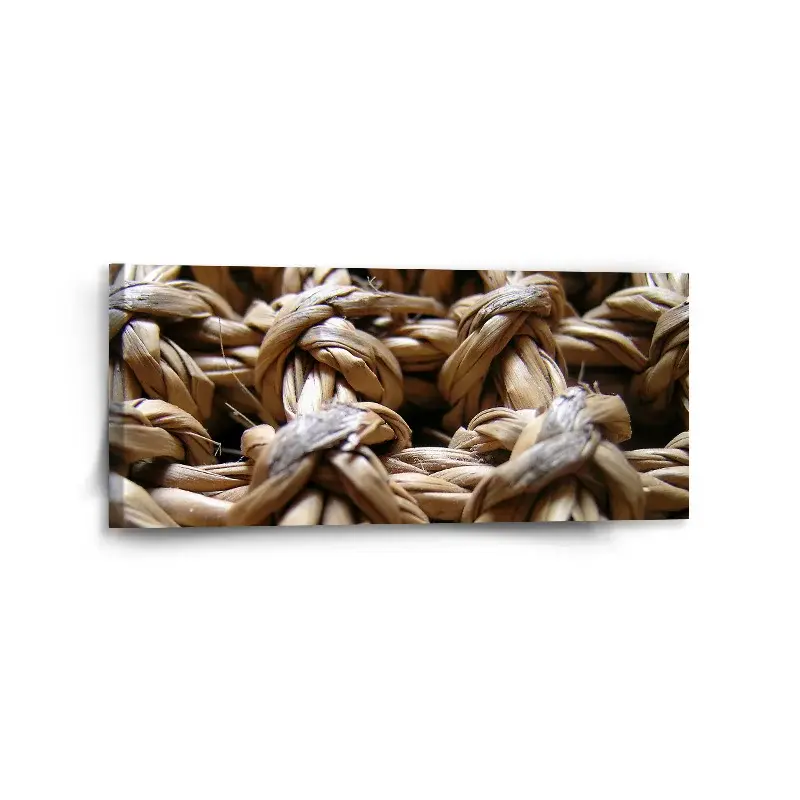Obraz Banánové listí - 110x50 cm