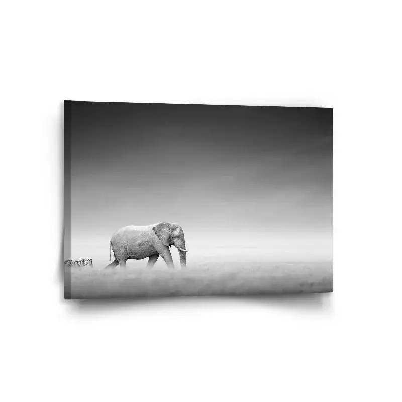 Obraz Slon a zebra - 120x80 cm