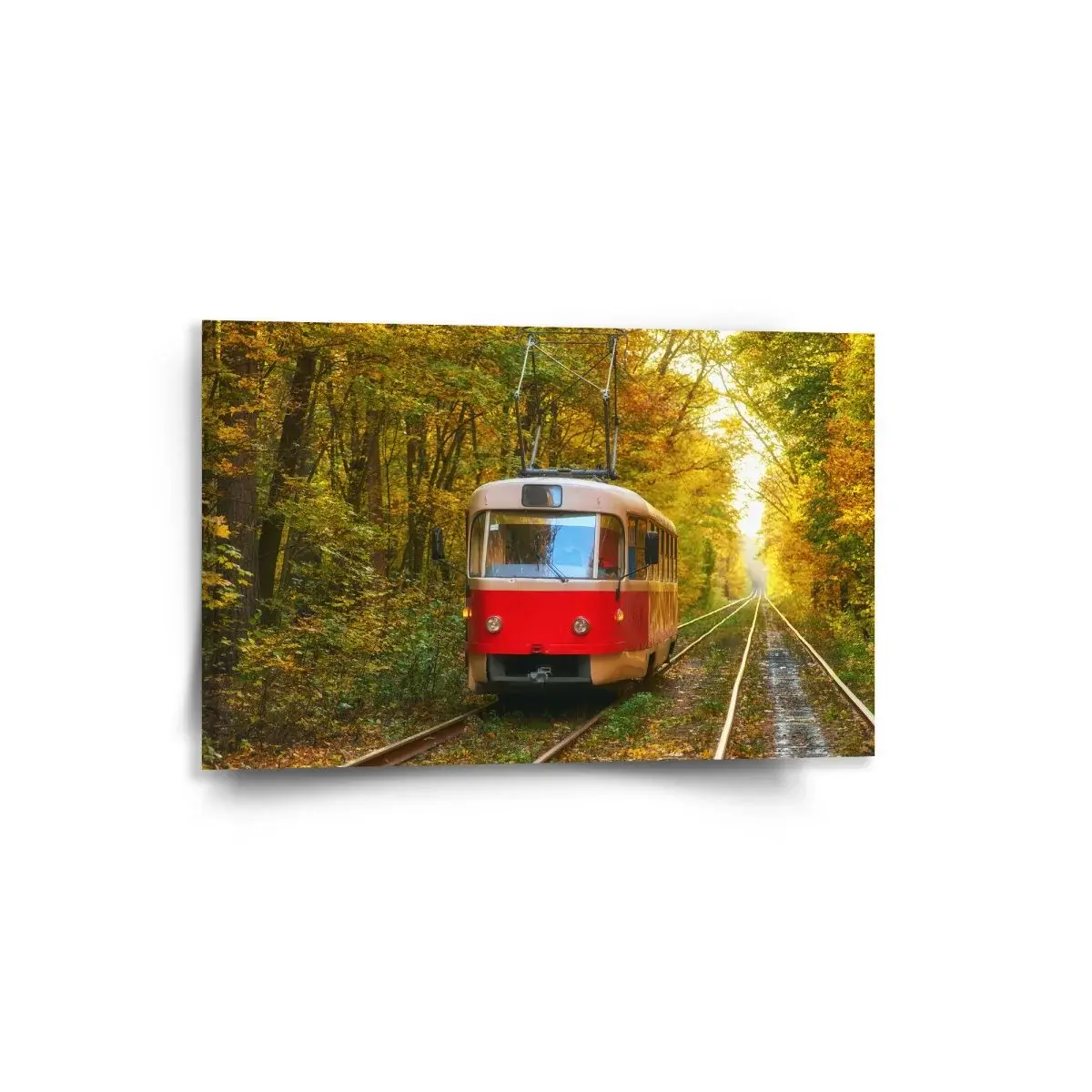 Obraz Červená tramvaj v lese - 60x40 cm