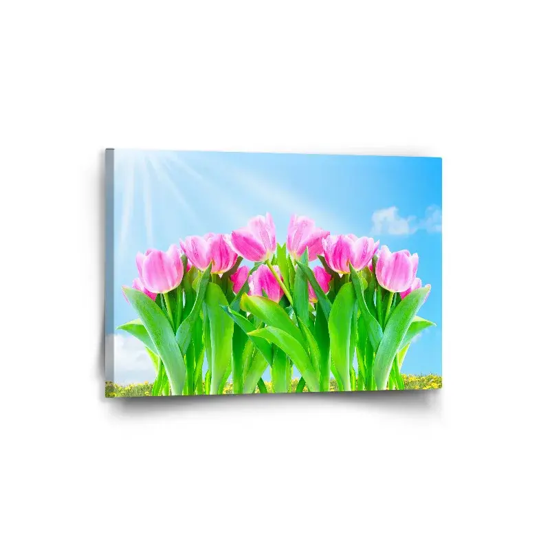 Obraz Růžové tulipány - 90x60 cm