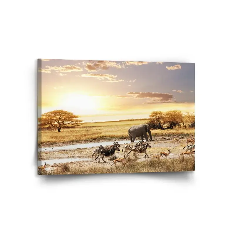 Obraz Safari - 120x80 cm