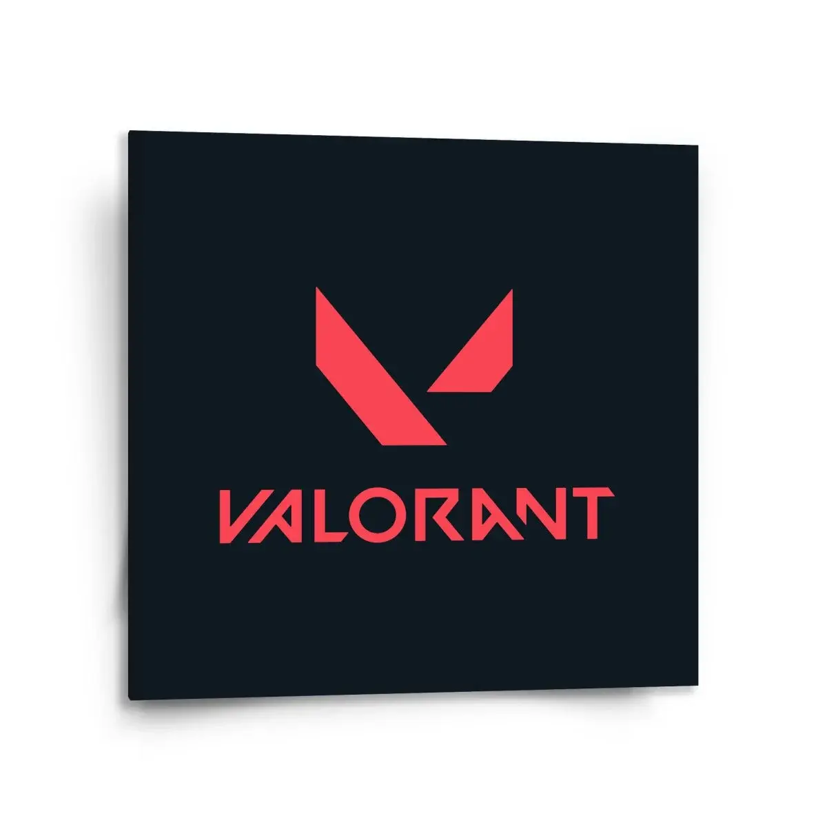 Obraz VALORANT Black - 110x110 cm
