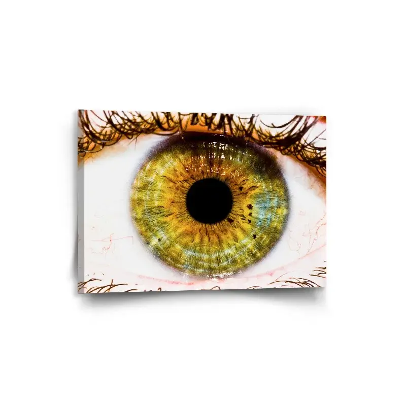 Obraz Oko - 90x60 cm