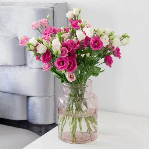 Eustoma kytice růžovo-bílá