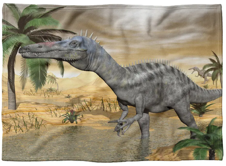 IMPAR Fleecová deka Dinosaurus 150x120 cm (Rozměr :