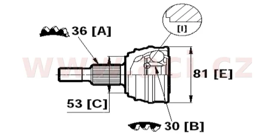 homokinetický kloub kola průměr 53 mm, 36 vnějších drážek, 30 vnitřních drážek, vnější průměr 81 mm (ŠKODA, VW)