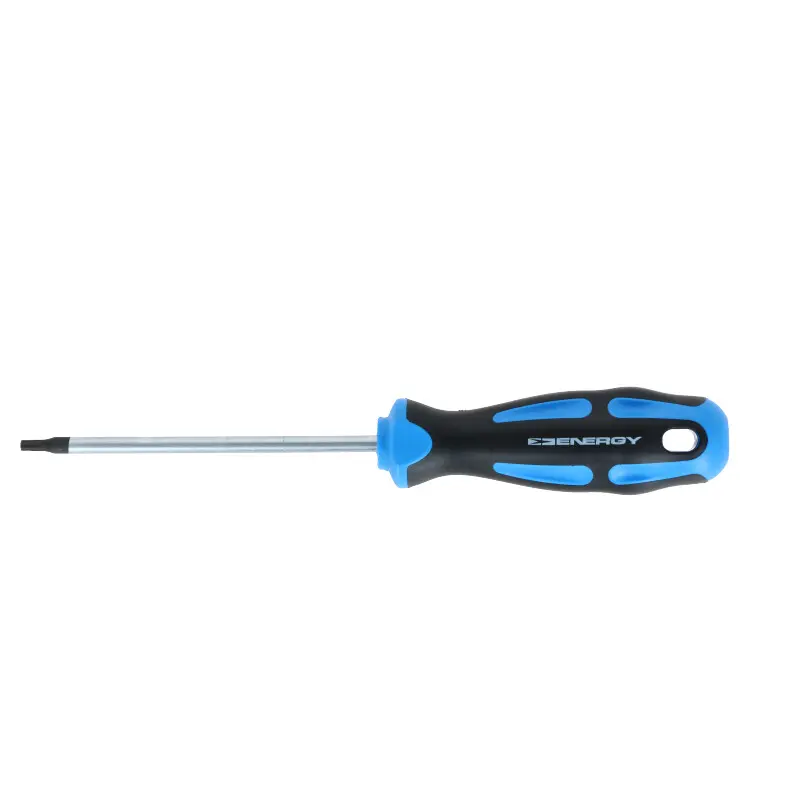 ENERGY Šroubovák TORX T15X100MM NE01313