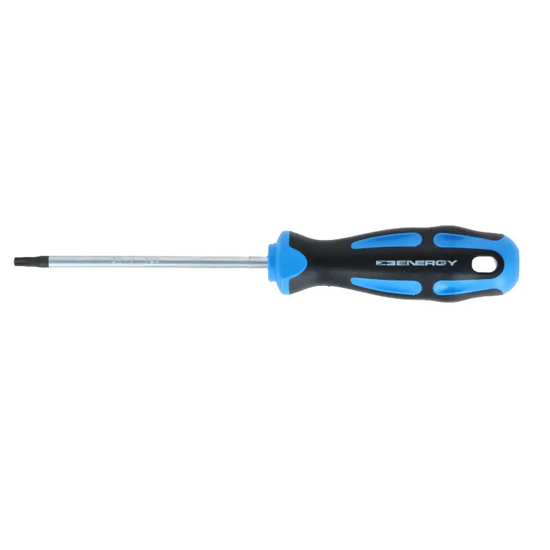 ENERGY Šroubovák TORX T20X100MM NE01314