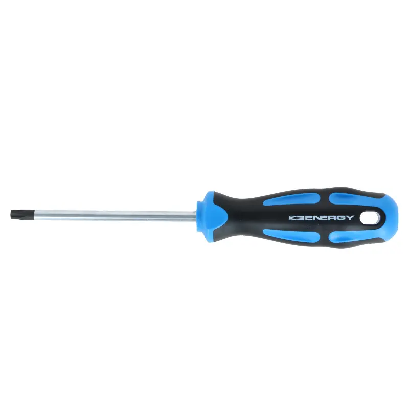 ENERGY Šroubovák TORX T30X100MM NE01317