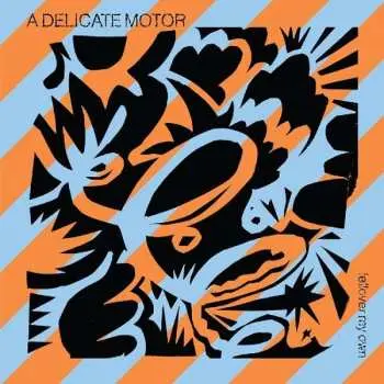 LP A Delicate Motor: Fellover My Own CLR