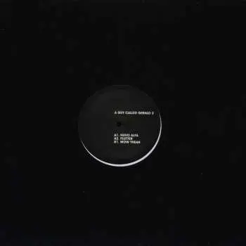 LP A Guy Called Gerald: Tronic Jazz The Berlin Sessions Vol 2