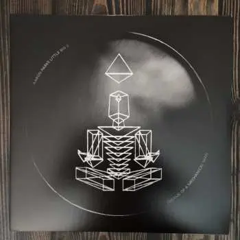 2LP Aaron Parks: Little Big II: Dreams Of A Mechanical Man LTD | CLR