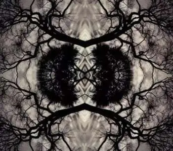 CD Adam Rudolph: Sonic Mandala