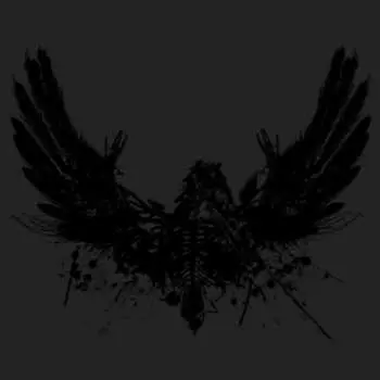 LP Amenra: Mass II LTD | CLR