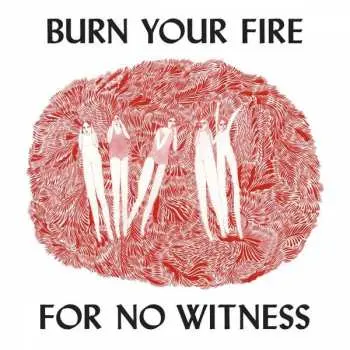 CD Angel Olsen: Burn Your Fire For No Witness