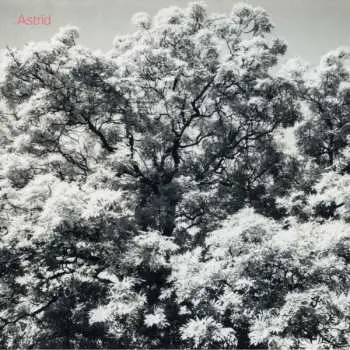 CD Astrïd: Always Digging The Same Hole