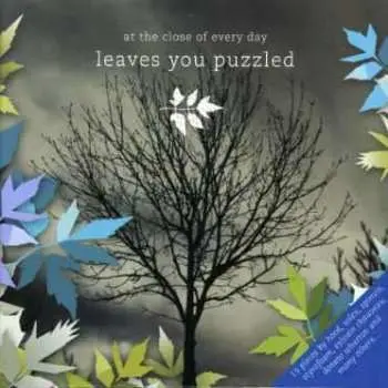 CD At The Close Of Every Day: Leaves You Puzzled LTD