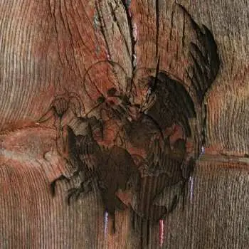 2LP Avey Tare's Slasher Flicks: Enter The Slasher House