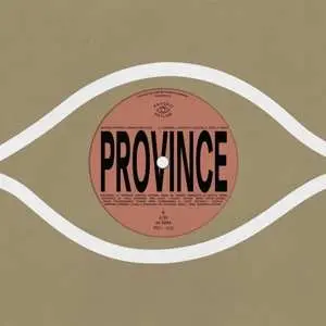 SP Bartees Strange: Province / Ever New