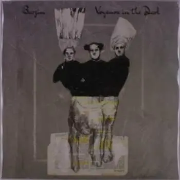 LP Barzin: Voyeurs In The Dark LTD