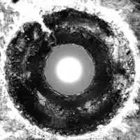 LP The Bastards Of Fate: Suck The Light Out