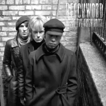 CD Beechwood: Inside the Flesh Hotel
