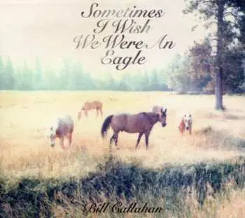 CD Bill Callahan: Sometimes I Wish We Were An Eagle