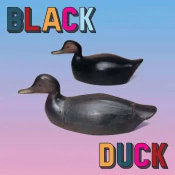 LP Black Duck: Black Duck CLR | LTD
