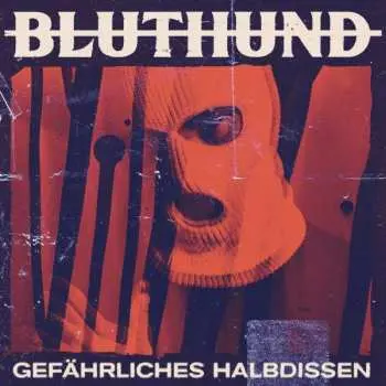 CD Bluthund: Gefährliches Halbdissen