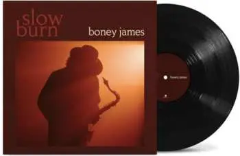 LP Boney James: Slow Burn