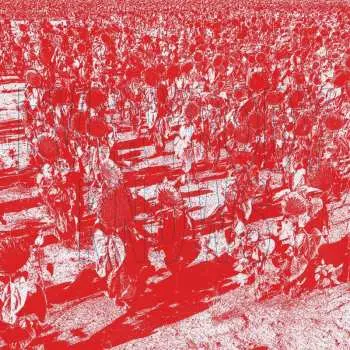 CD Bony King Of Nowhere: Everybody Knows