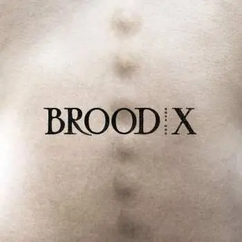 LP Boss Hog: Brood X