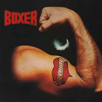 LP Boxer: Absolutely