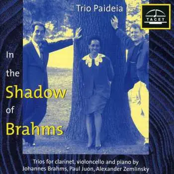 CD Brahms / Zemlinsky / Juon / Trio Paideia: Im Schatten Von Brahms 1