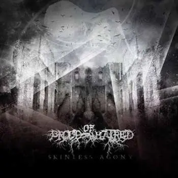 CD Brood Of Hatred: Skinless Agony