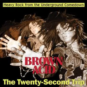 CD Various: Brown Acid: The Twenty-Second Trip