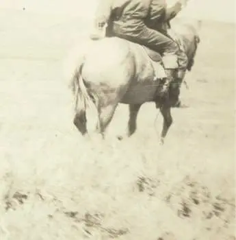 LP Bruce Langhorne: The Hired Hand