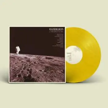 LP Carolina Story: Dandelion CLR | LTD