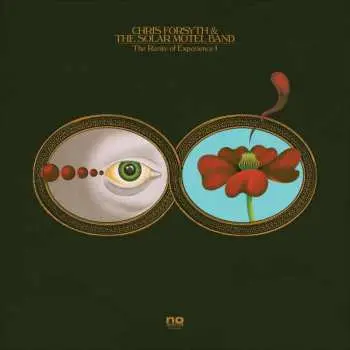 2LP Chris Forsyth & The Solar Motel Band: The Rarity Of Experience