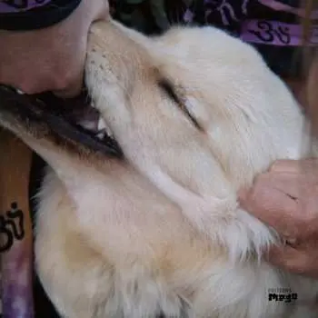 CD Fennesz: It's Hard For Me To Say I’m Sorry