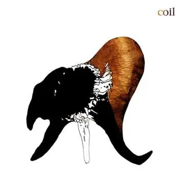 CD Coil: Black Antlers