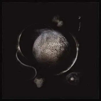 LP Enthroned: Cold Black Suns