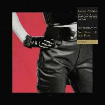 2LP Curses!: Next Wave Acid Punx (Part 1: Origins)