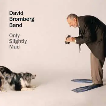 CD David Bromberg Band: Only Slightly Mad