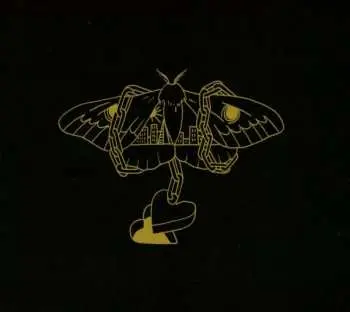 CD David Gray: Gold In A Brass Age